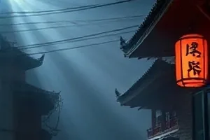 《风起白鹭洲》沙洲芦苇与起飞水鸟